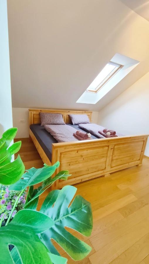 Apartmaji Dora Mojstrana Exteriér fotografie
